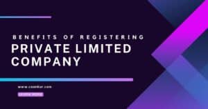 private limited company