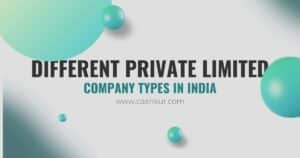 private limited company type